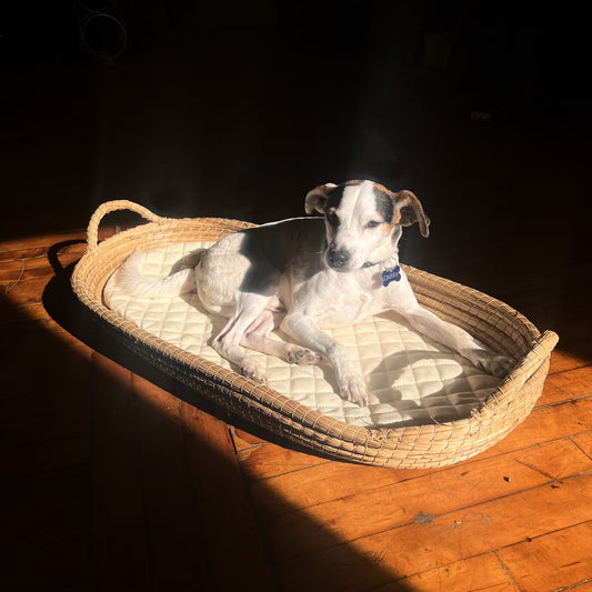 Natural Pet Bed