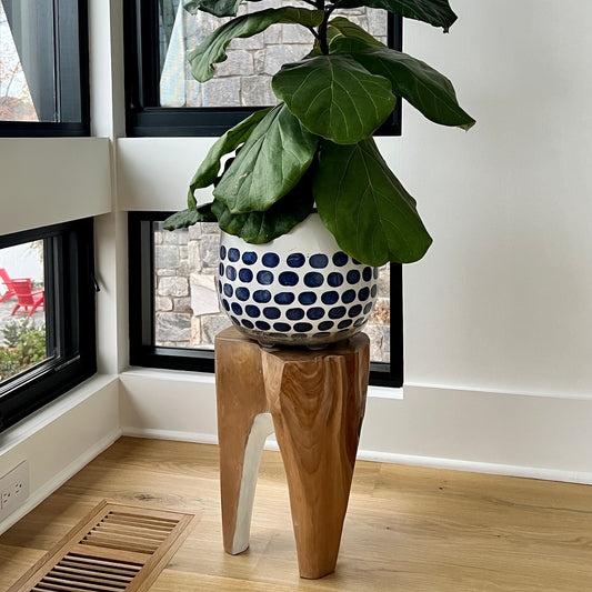 Java Teak Root Stool - Black