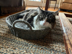 Grey Pet Bed