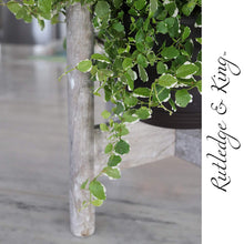 Load image into Gallery viewer, Aberdeen Mid Century Plant Stand - Driftwood
